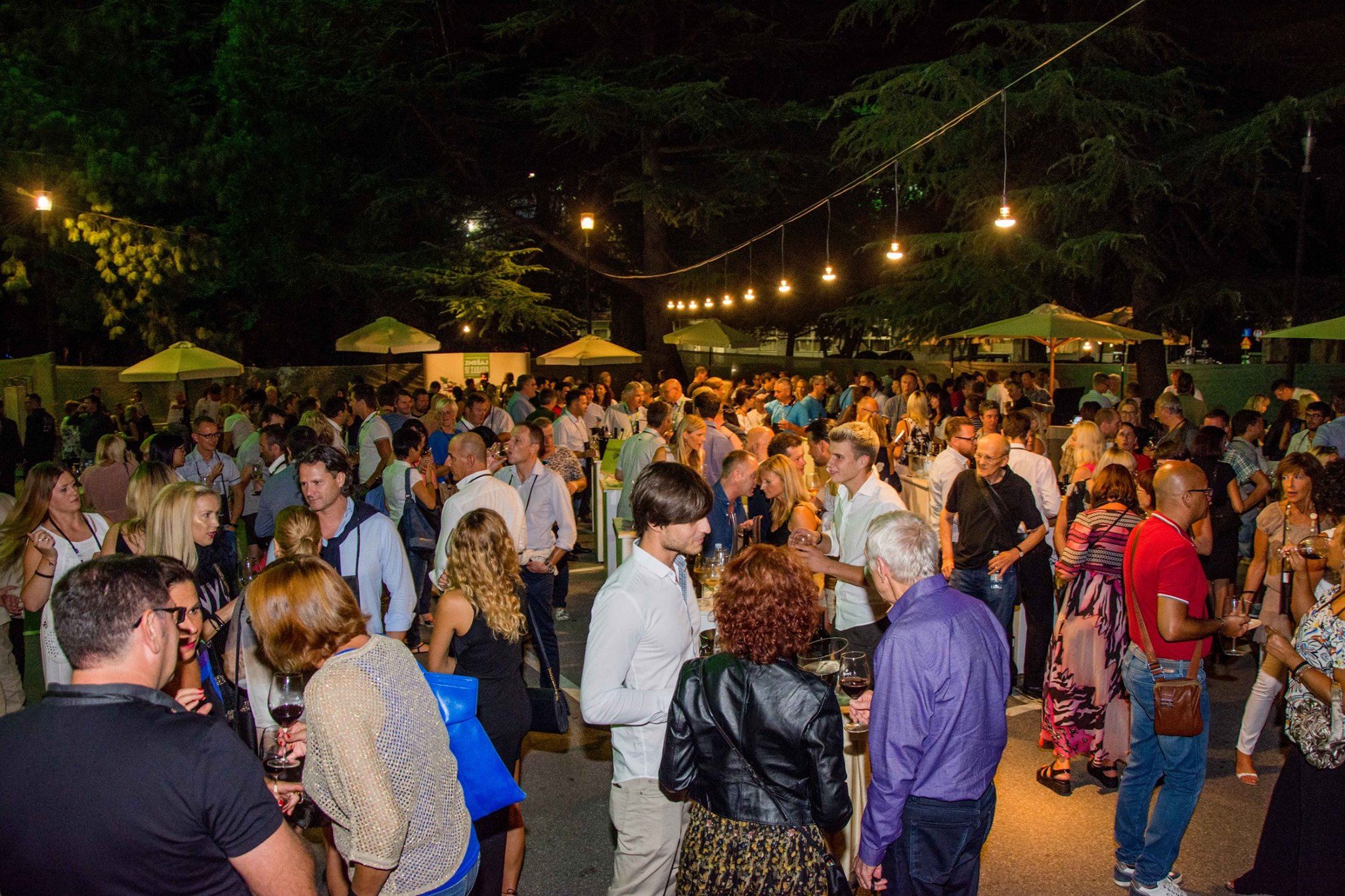 Immagine per I migliori vini sloveni al Park Wine Party, brindisi a Nova Gorica